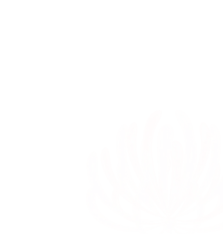 Abstract pink floral design on black