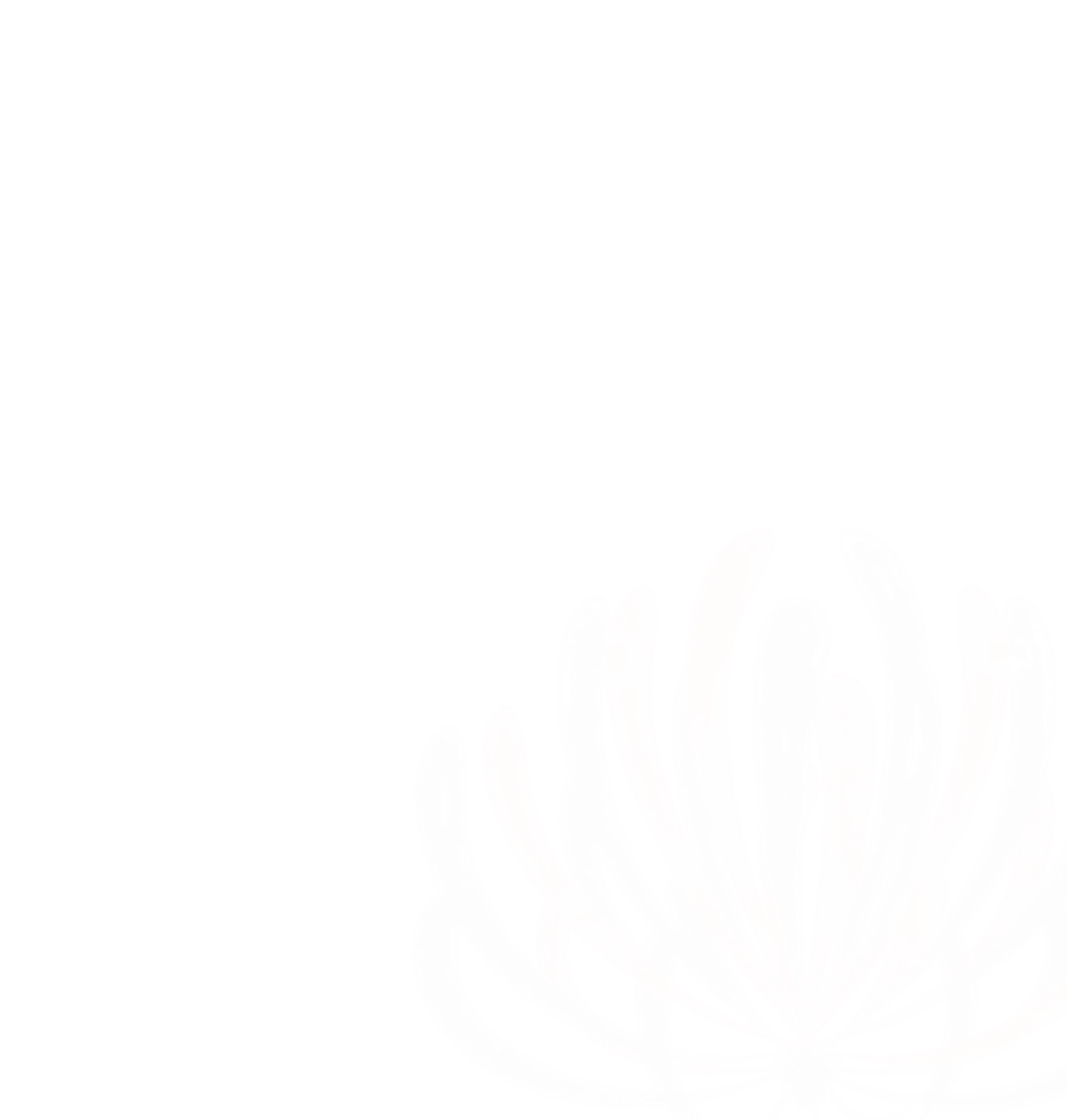 Abstract pink floral design on black